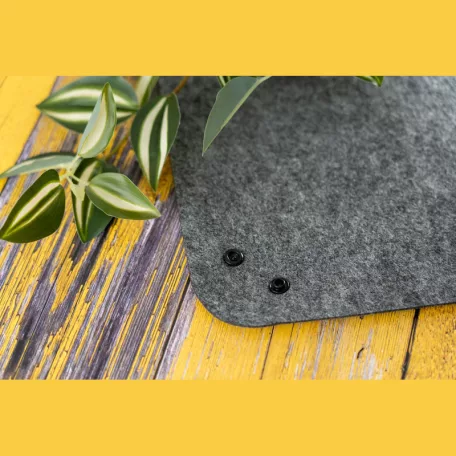 Edmonton RPET filc tálka