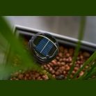 Wigan napelemes rovarírtó lámpa