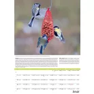 Kertészmester falinaptár