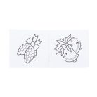 Fargelegg 12 egyediesíthető színező szett