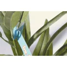 PlantTag egyedi növénycímke