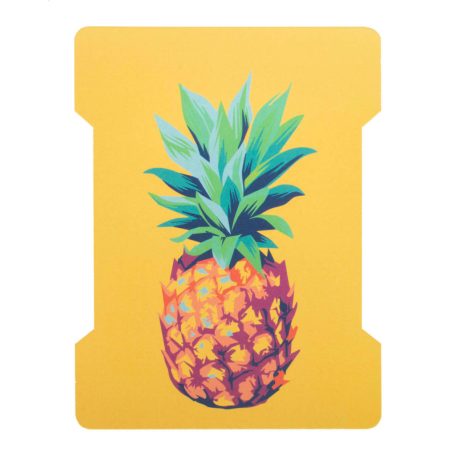 BandanaShow papírtartó körsálhoz