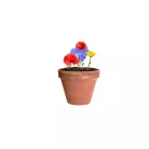 Flocca virágmag keverék