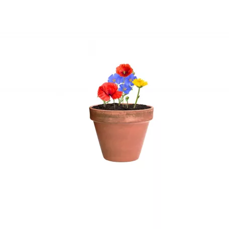 Flocca virágmag keverék