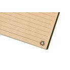 Biloba jegyzetfüzet