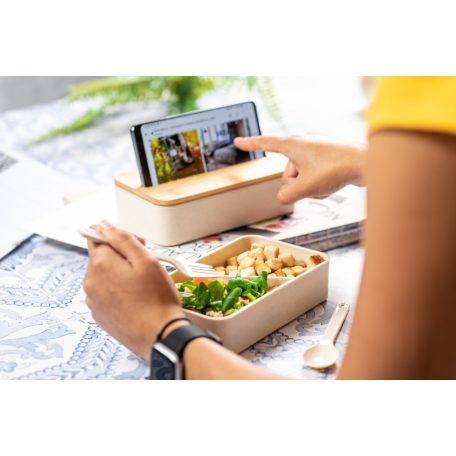 Laksa uzsonnás doboz