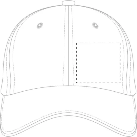 Banks baseball sapka