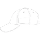 Banks baseball sapka