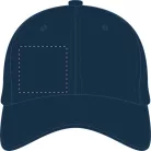 Banks baseball sapka