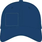 Banks baseball sapka