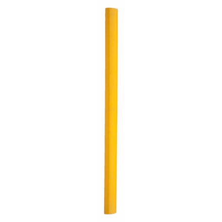 Carpenter ceruza