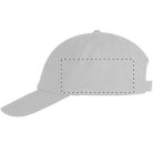 Reggie baseball sapka