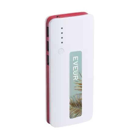 Tenak power bank