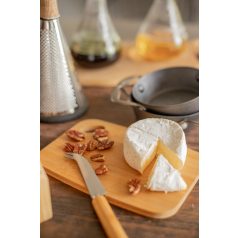 Taleggio sajtvágó készlet