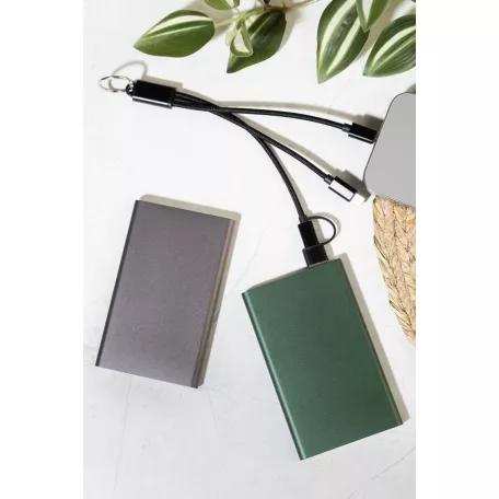 RaluFour power bank