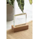 Rectofi trófea