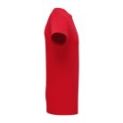 Fruit of the loom Pure Cotton T