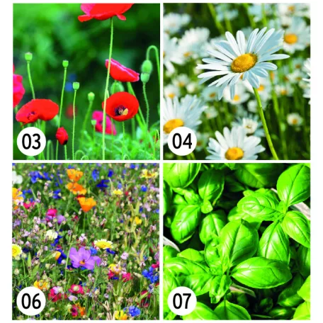 Magpapír poháralátét