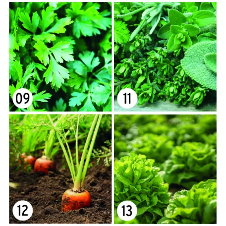 Magpapír poháralátét