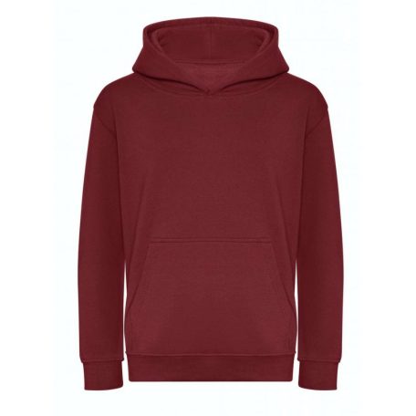 AWJH201J KIDS ORGANIC HOODIE