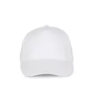 KP051 ACTION II - 5 PANEL CAP