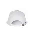 KP051 ACTION II - 5 PANEL CAP