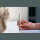 Tintamentes bambusz toll