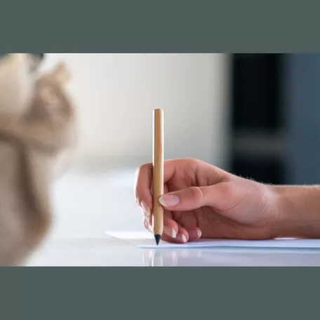 Tintamentes bambusz toll