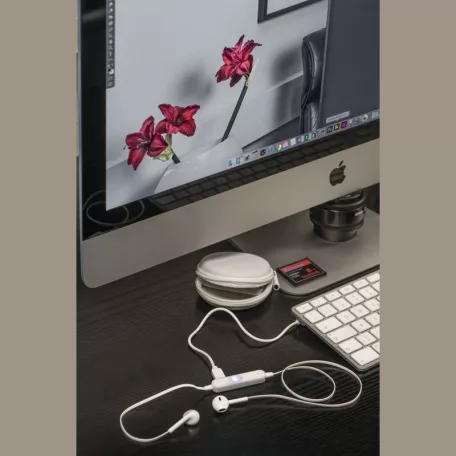 Bluetooth fülhallgató PU tokban