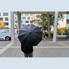 Bambusz fogantyús esernyő