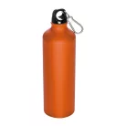 Nagy ivópalack karabinerrel, 800 ml
