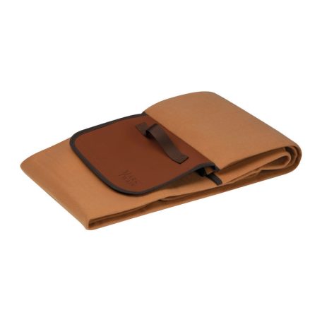 Mark Twain pikniktakaró