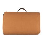 Mark Twain pikniktakaró