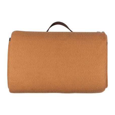 Mark Twain pikniktakaró