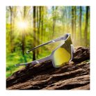 SCHWARZWOLF BARWON Sports sunglasses