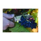 Schwarzwolf JUNGLE zsebkés