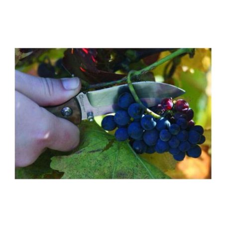 Schwarzwolf JUNGLE zsebkés