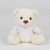 MM030 BEAR IN A T-SHIRT
