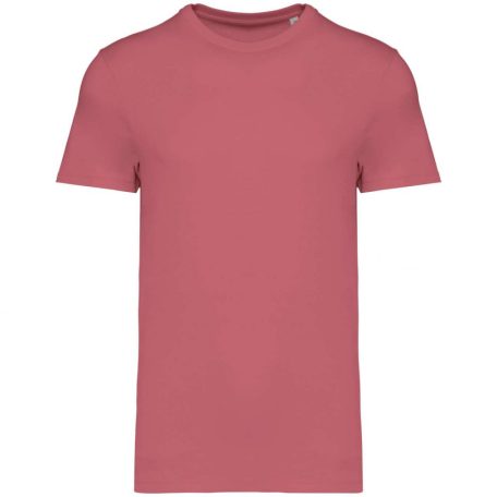 Native Spirit NS305 UNISEX ECO-FRIENDLY T-SHIRT L