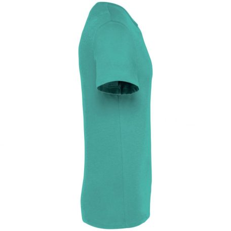 Native Spirit NS305 UNISEX ECO-FRIENDLY T-SHIRT 2XL