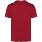 Native Spirit NS305 UNISEX ECO-FRIENDLY T-SHIRT 2XL