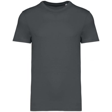 Native Spirit NS305 UNISEX ECO-FRIENDLY T-SHIRT L