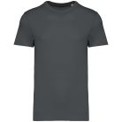 Native Spirit NS305 UNISEX ECO-FRIENDLY T-SHIRT XL