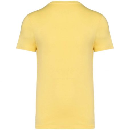 Native Spirit NS305 UNISEX ECO-FRIENDLY T-SHIRT 2XL