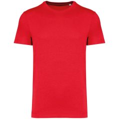 Native Spirit NS305 UNISEX ECO-FRIENDLY T-SHIRT XL