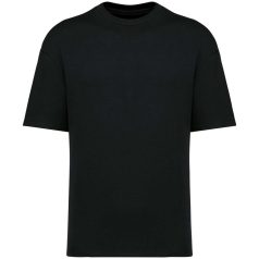   Native Spirit NS308 UNISEX ECO-FRIENDLY OVERSIZED FRENCH TERRY T-SHIRT 2XL