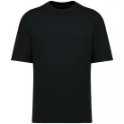 Native Spirit NS308 UNISEX ECO-FRIENDLY OVERSIZED FRENCH TERRY T-SHIRT L