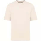 Native Spirit NS308 UNISEX ECO-FRIENDLY OVERSIZED FRENCH TERRY T-SHIRT 2XL