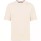 Native Spirit NS308 UNISEX ECO-FRIENDLY OVERSIZED FRENCH TERRY T-SHIRT M