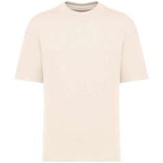   Native Spirit NS308 UNISEX ECO-FRIENDLY OVERSIZED FRENCH TERRY T-SHIRT XL